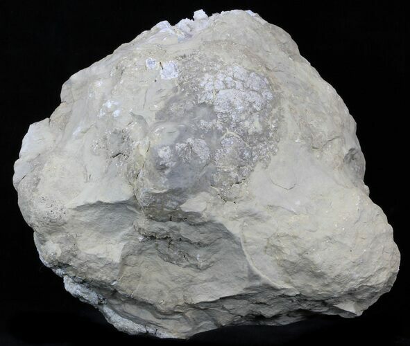 Large, Whole/Unbroken Keokuk Geode #33960